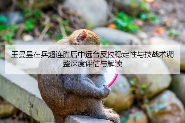 王曼昱在乒超连胜后中远台反拉稳定性与技战术调整深度评估与解读