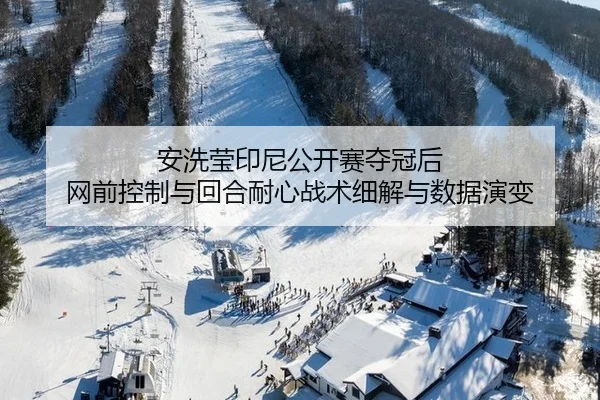 安洗莹印尼公开赛夺冠后 网前控制与回合耐心战术细解与数据演变